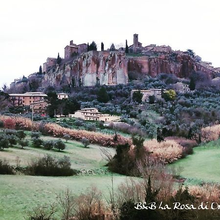 La Rosa Di Orvieto Bed & Breakfast Exterior foto