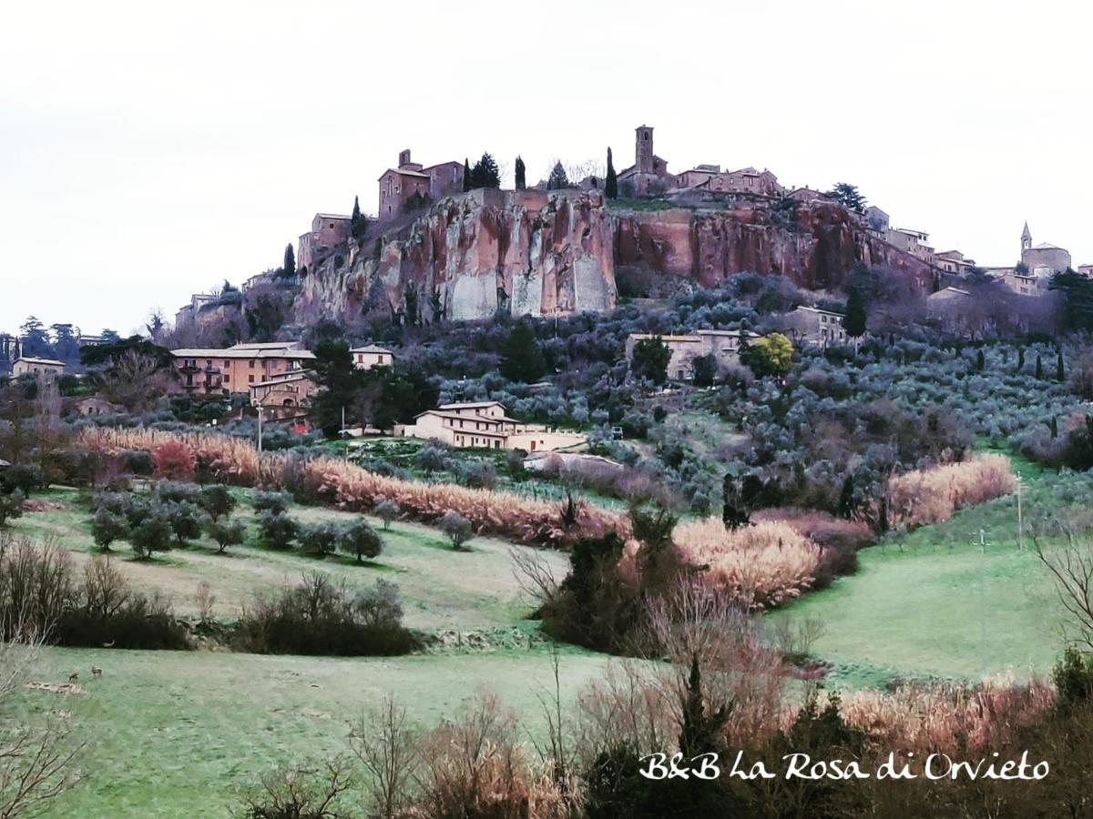 La Rosa Di Orvieto Bed & Breakfast Exterior foto